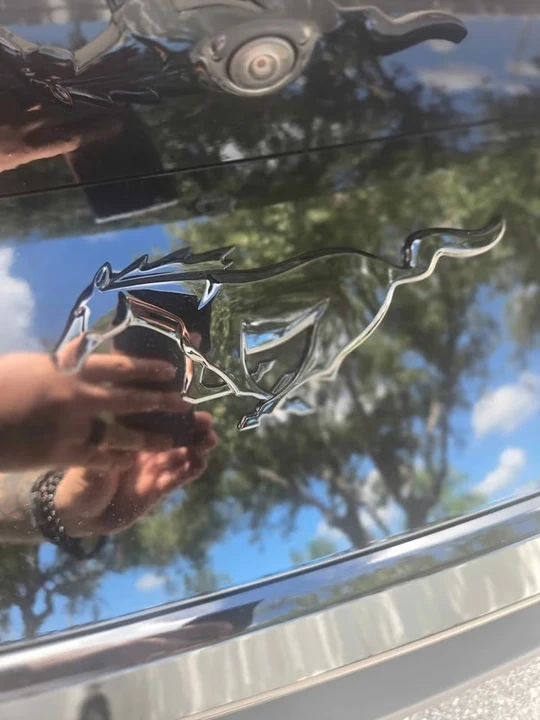 2025 Ford S650 Mustang - Image 3 of 10