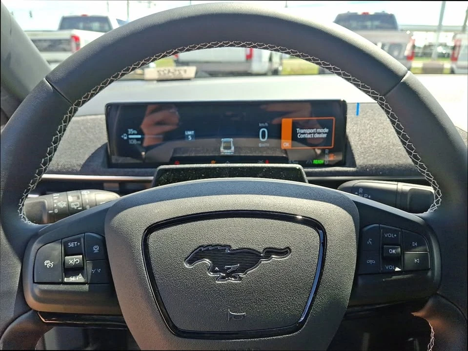 2025 Ford Mustang Mach-E - Image 16 of 19