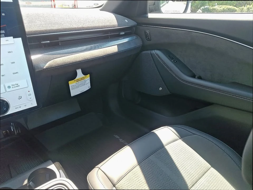 2025 Ford Mustang Mach-E - Image 10 of 19