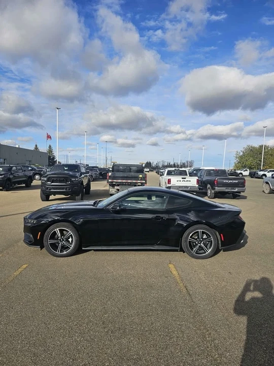 2025 Ford S650 Mustang - Image 3 of 10