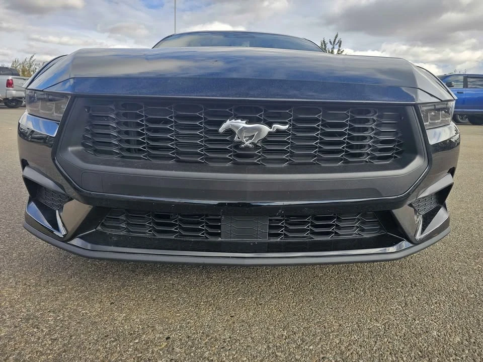 2025 Ford S650 Mustang - Image 4 of 10