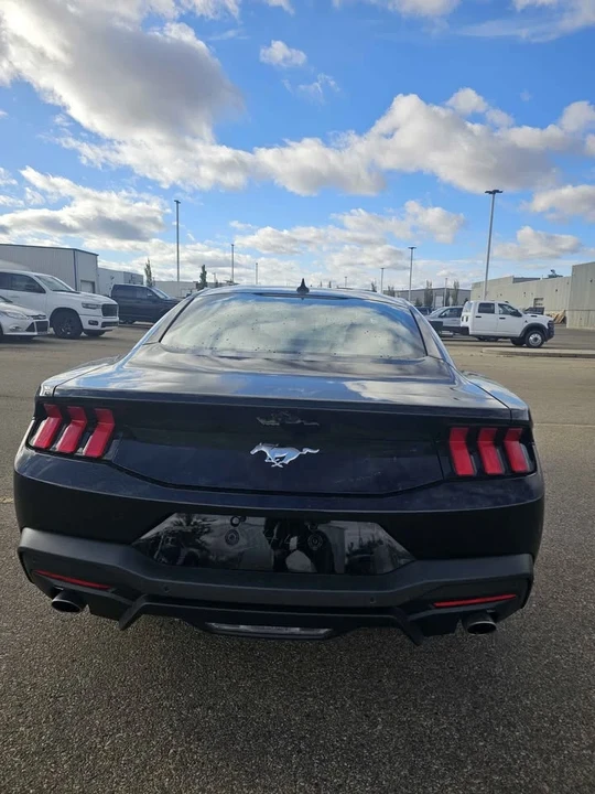 2025 Ford S650 Mustang - Image 5 of 10