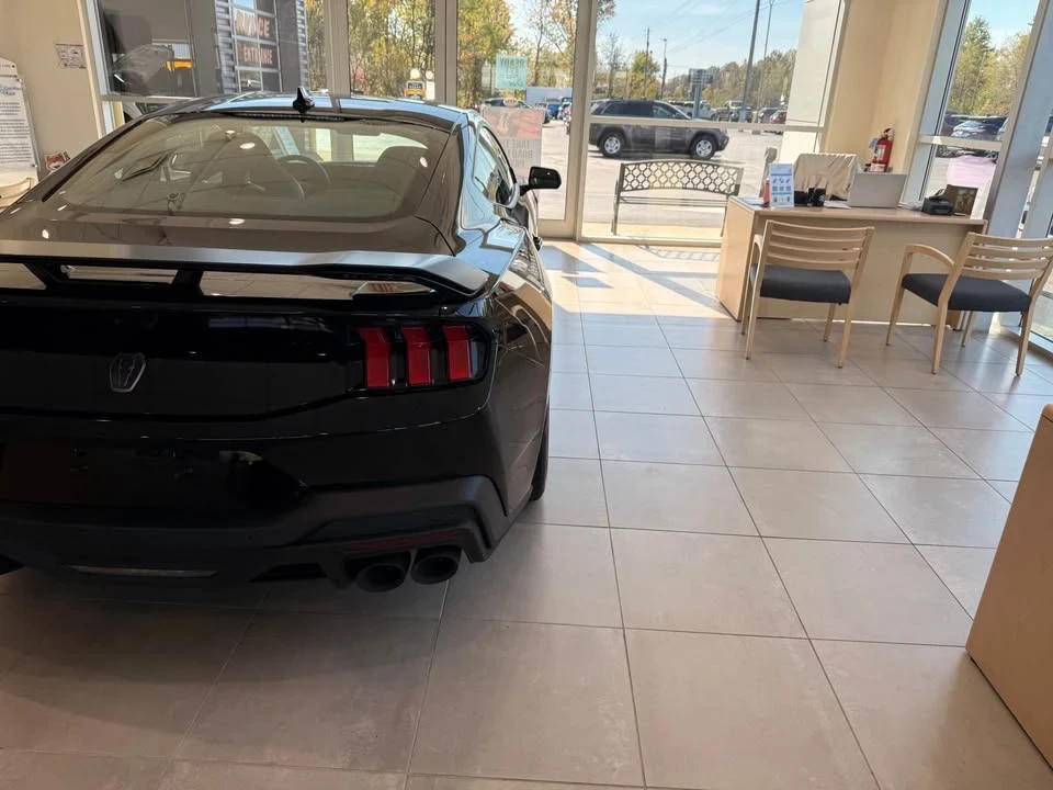 2025 Ford S650 Mustang - Image 3 of 7