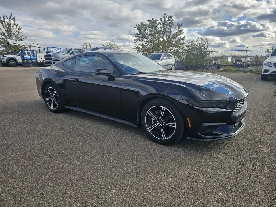 2025 Ford S650 Mustang - Image 2 of 10
