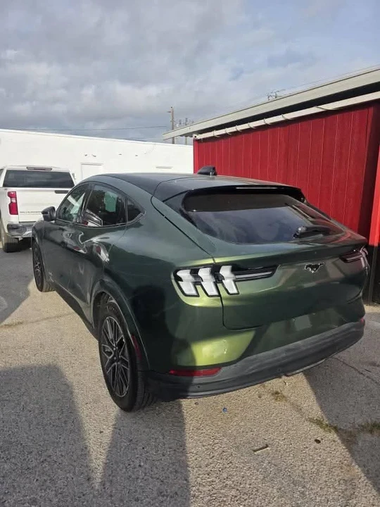 2025 Ford S650 Mustang - Image 3 of 3