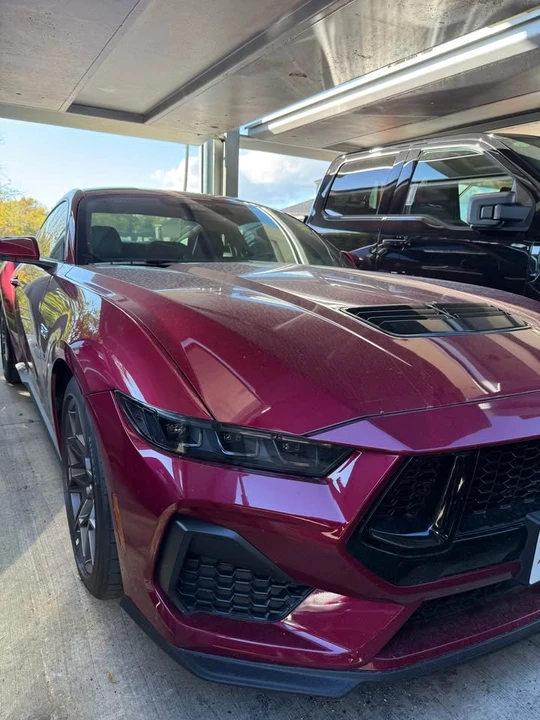 2025 Ford S650 Mustang - Image 2 of 12