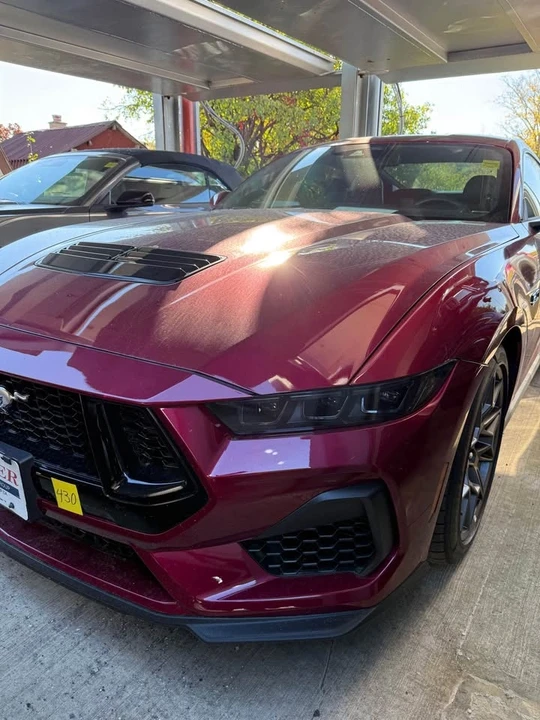 2025 Ford S650 Mustang - Image 10 of 12