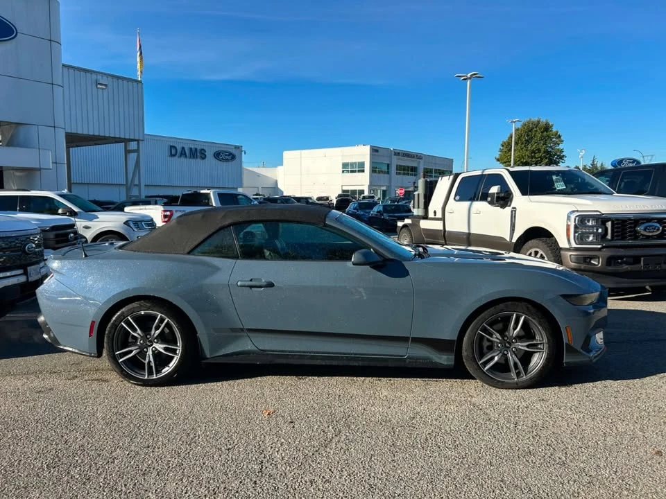 2025 Ford S650 Mustang - Image 4 of 20