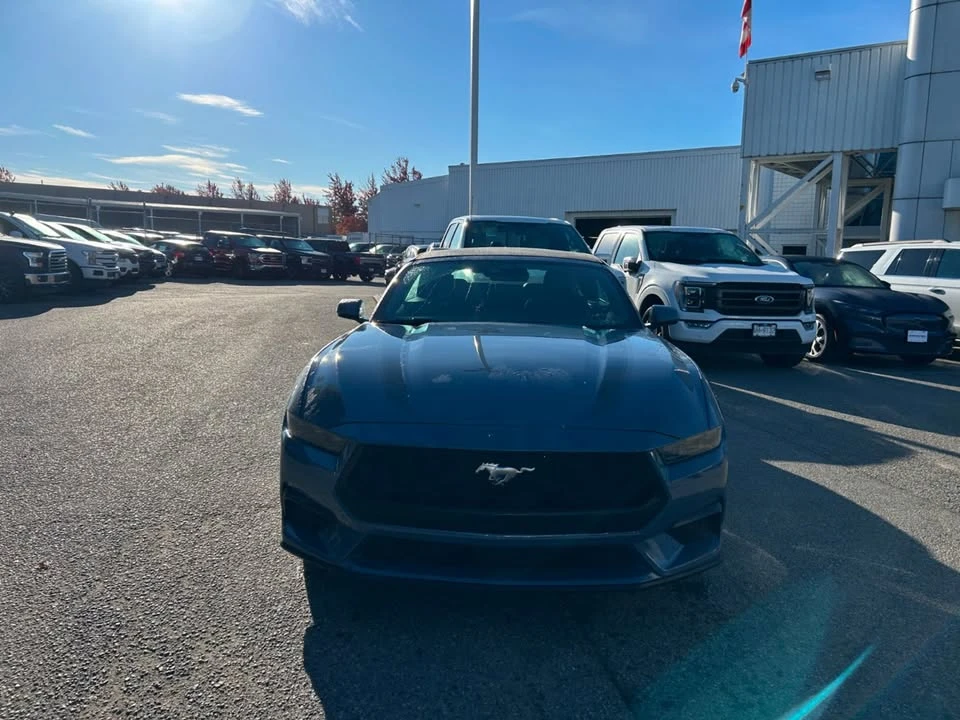 2025 Ford S650 Mustang - Image 2 of 20