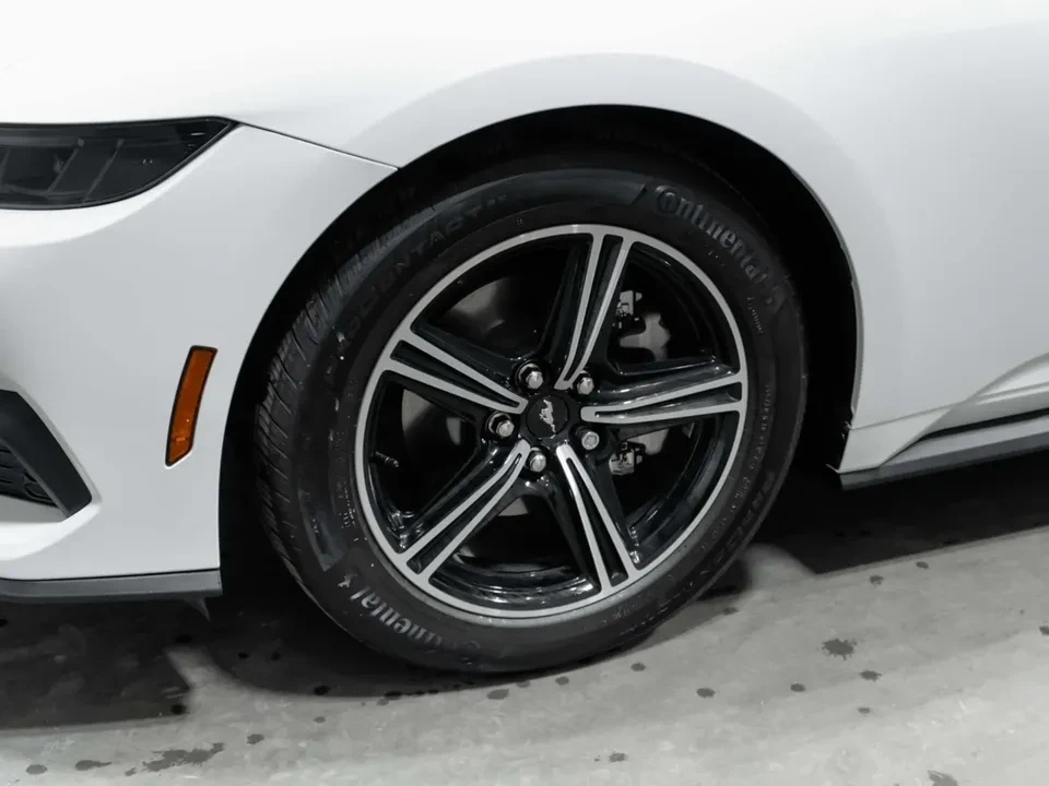 2025 Ford S650 Mustang - Image 6 of 15