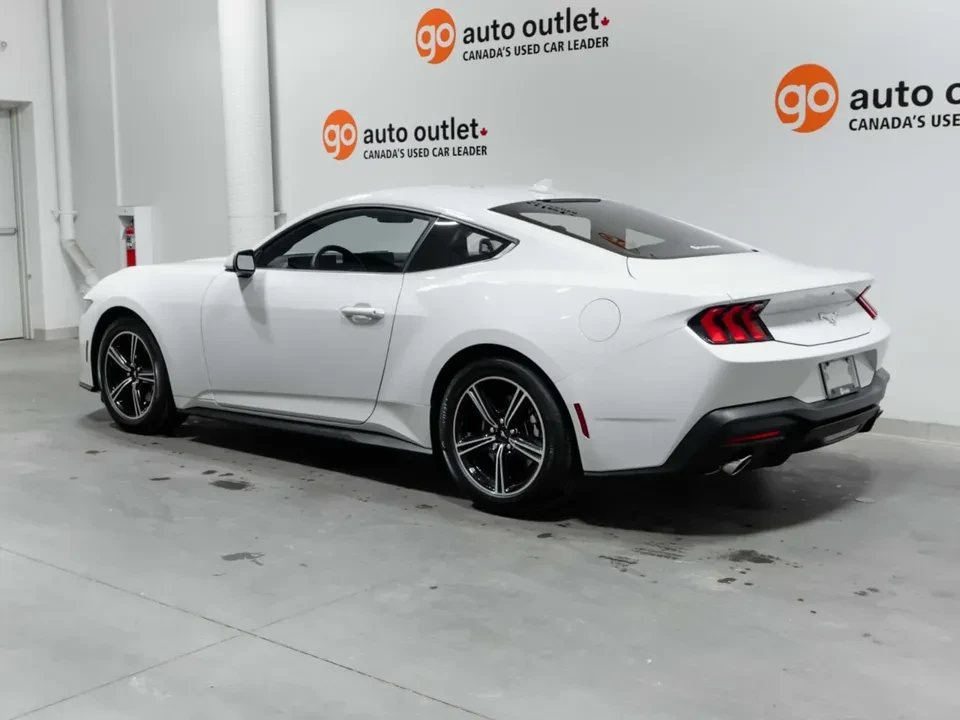 2025 Ford S650 Mustang - Image 5 of 15