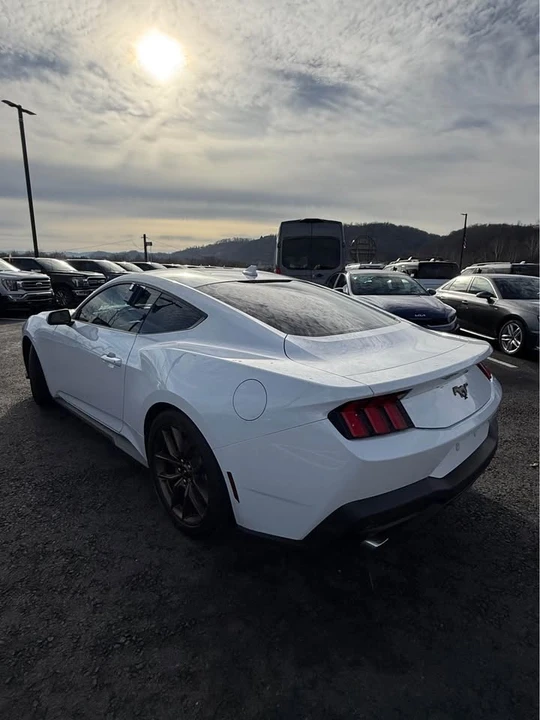 2025 Ford S650 Mustang - Image 7 of 7