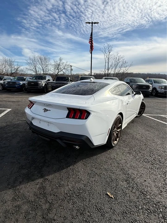 2025 Ford S650 Mustang - Image 6 of 7