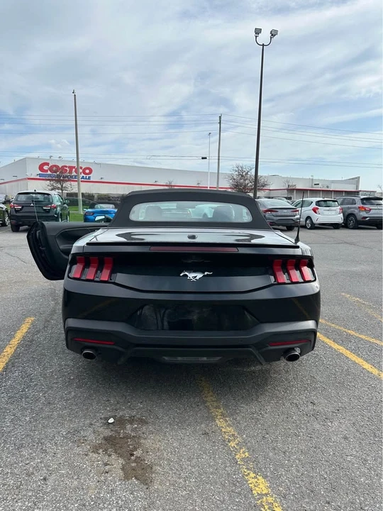 2025 Ford S650 Mustang - Image 3 of 5