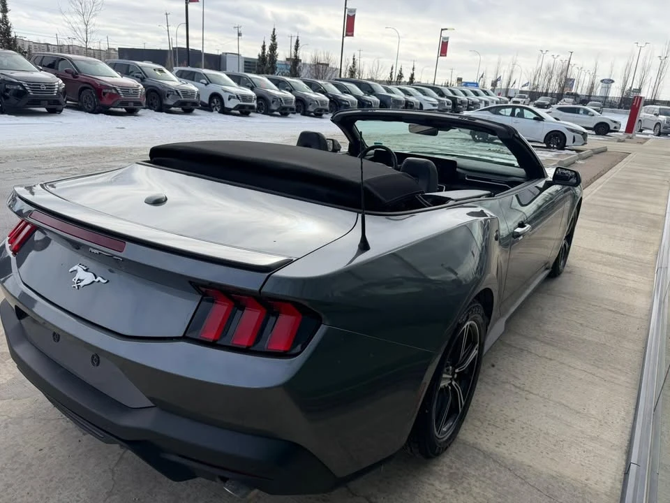 2025 Ford S650 Mustang - Image 3 of 5