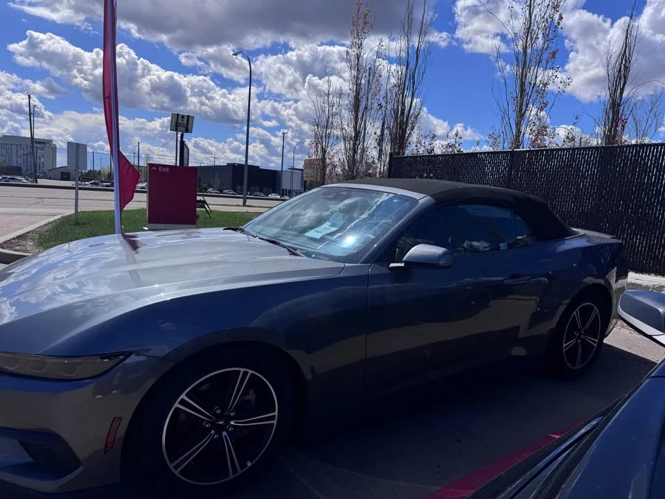 2025 Ford S650 Mustang - Image 2 of 10