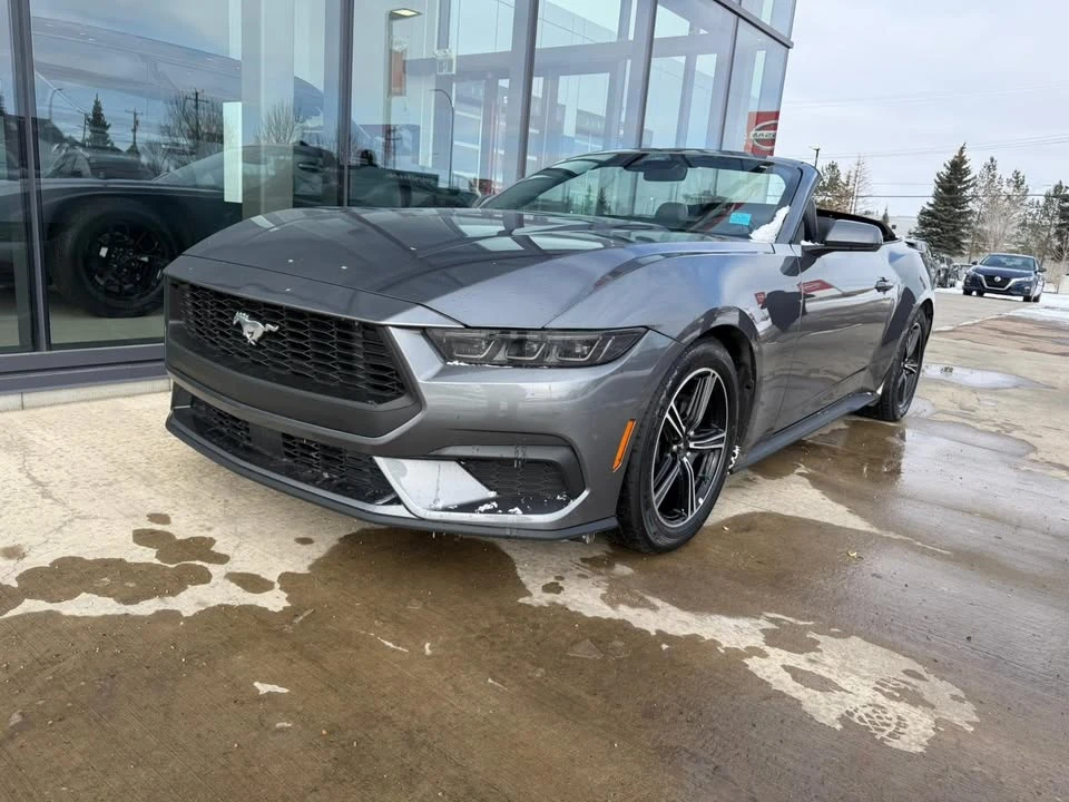 2025 Ford S650 Mustang - Image 4 of 5