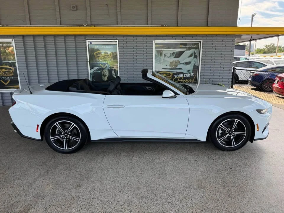 2025 Ford S650 Mustang - Image 14 of 18