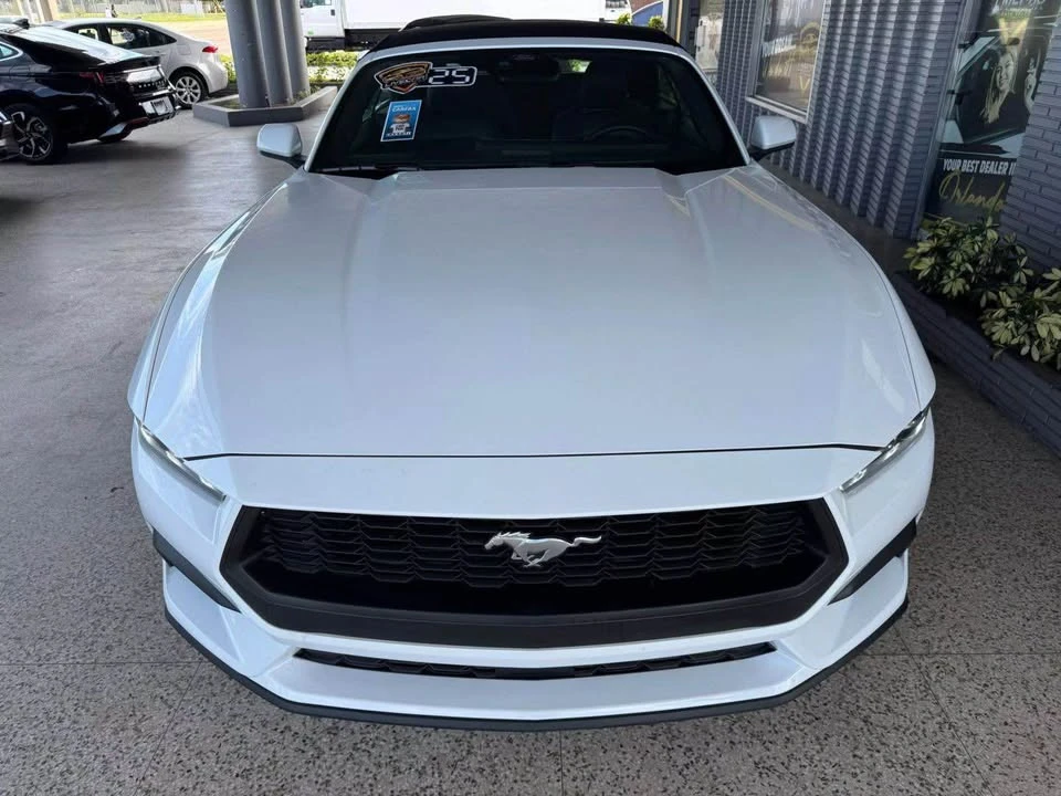 2025 Ford S650 Mustang - Image 5 of 18