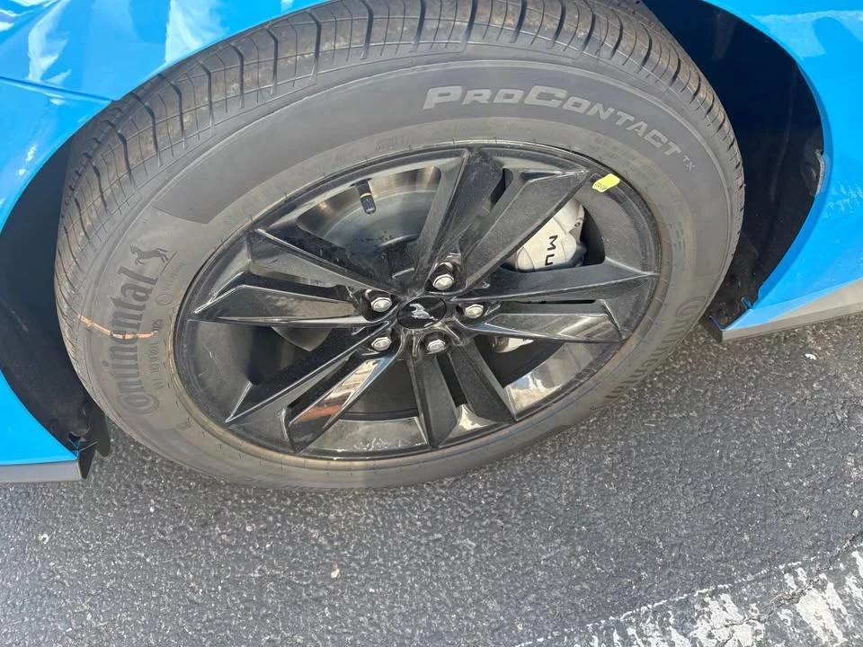 2025 Ford S650 Mustang - Image 2 of 14