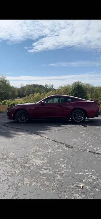2025 Ford S650 Mustang - Image 8 of 14
