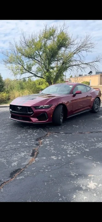 2025 Ford S650 Mustang - Image 7 of 14