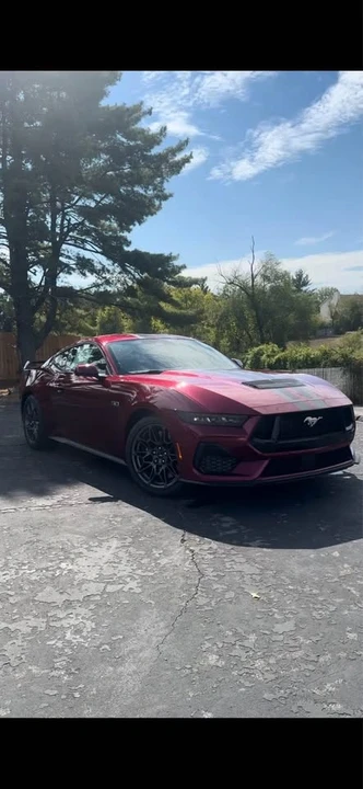 2025 Ford S650 Mustang - Image 13 of 14