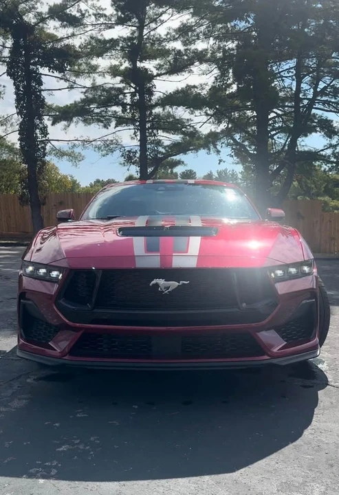 2025 Ford S650 Mustang - Image 5 of 14