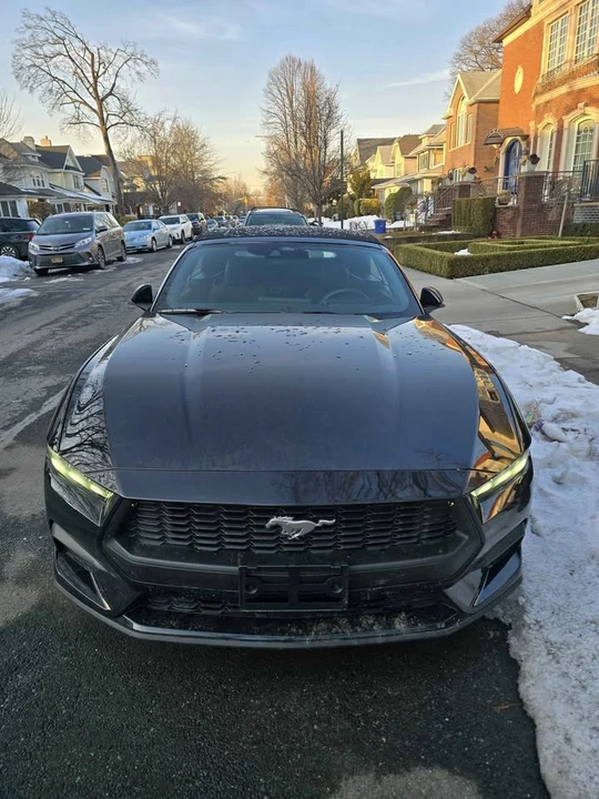 2025 Ford S650 Mustang - Image 3 of 13