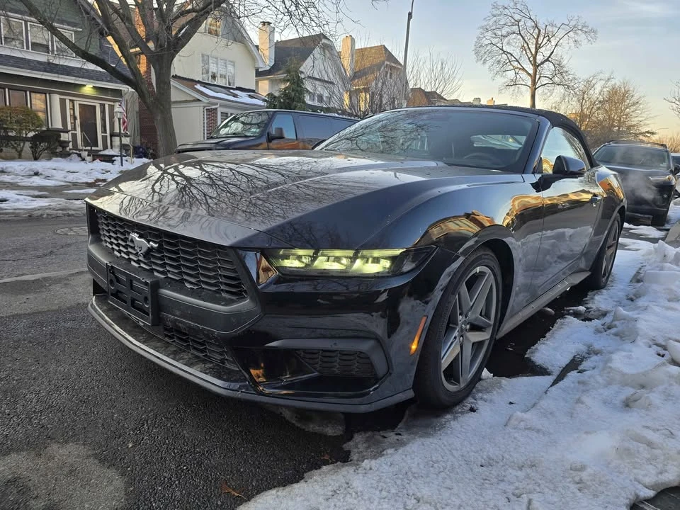 2025 Ford S650 Mustang - Image 2 of 13