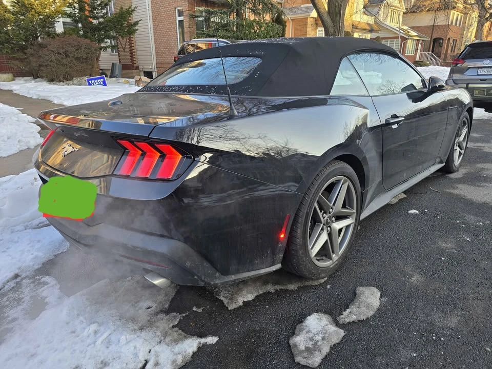 2025 Ford S650 Mustang - Image 4 of 13