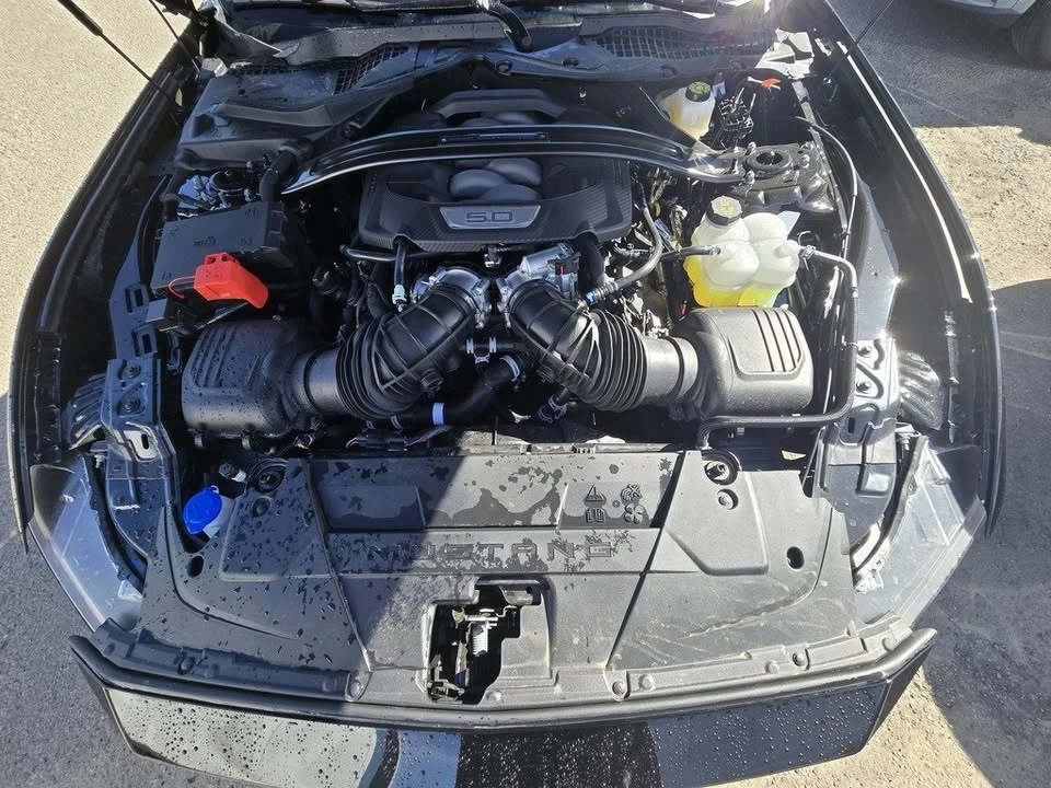 2025 Ford S650 Mustang - Image 20 of 20