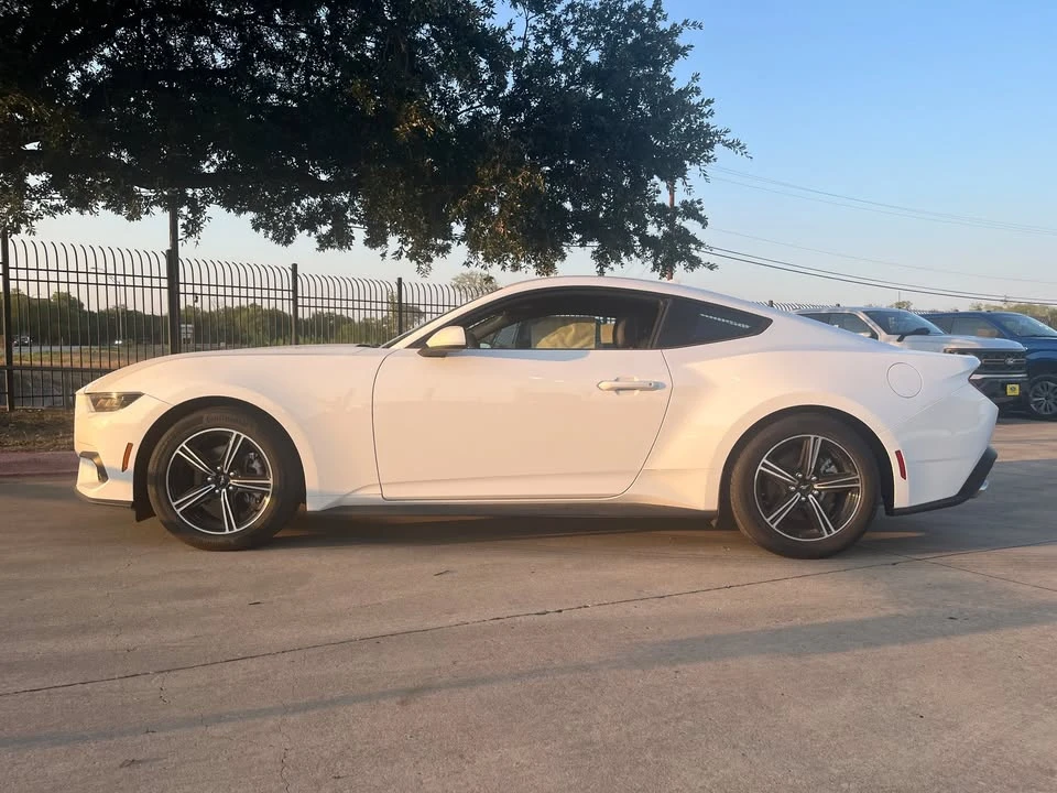 2025 Ford S650 Mustang - Image 3 of 5