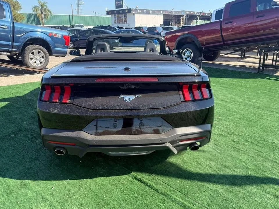 2025 Ford S650 Mustang - Image 12 of 19