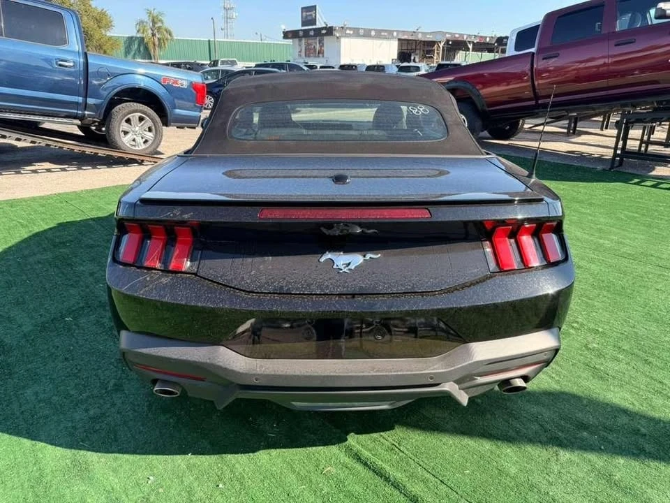 2025 Ford S650 Mustang - Image 19 of 19