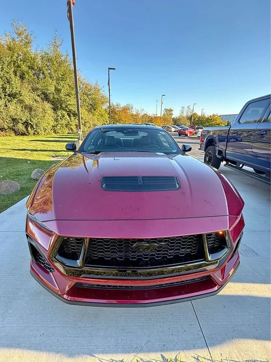 2025 Ford S650 Mustang - Image 2 of 16