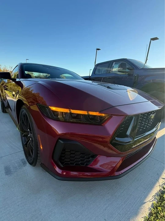 2025 Ford S650 Mustang - Image 5 of 16