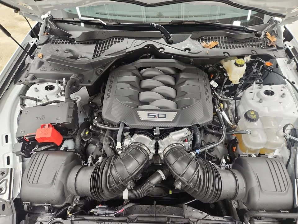 2025 Ford S650 Mustang - Image 11 of 11
