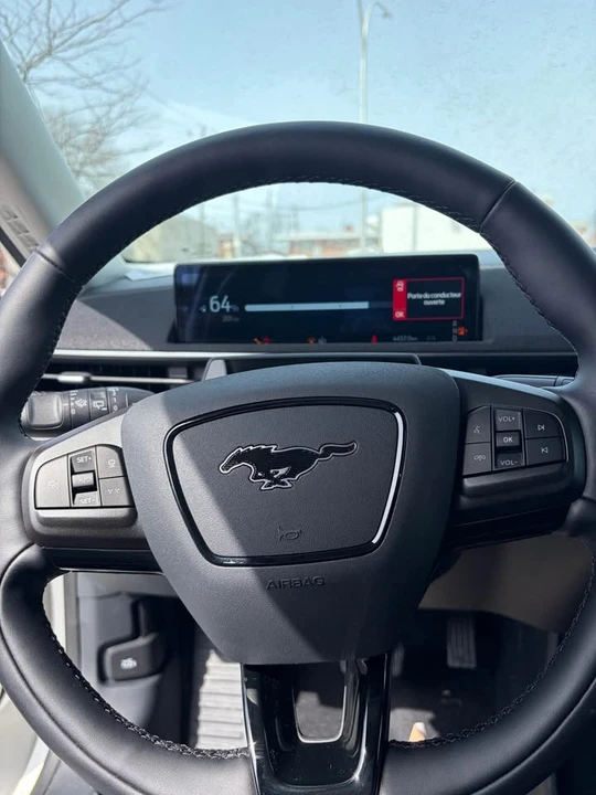 2025 Ford Mustang Mach-E - Image 10 of 12
