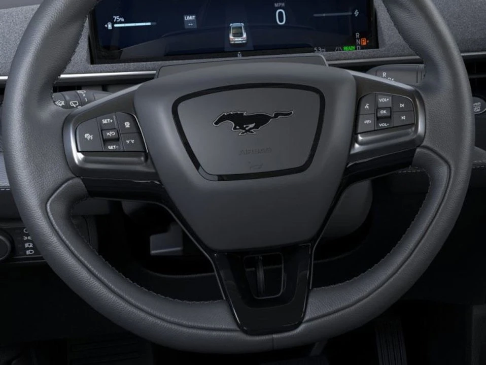2025 Ford Mustang Mach-E - Image 13 of 20