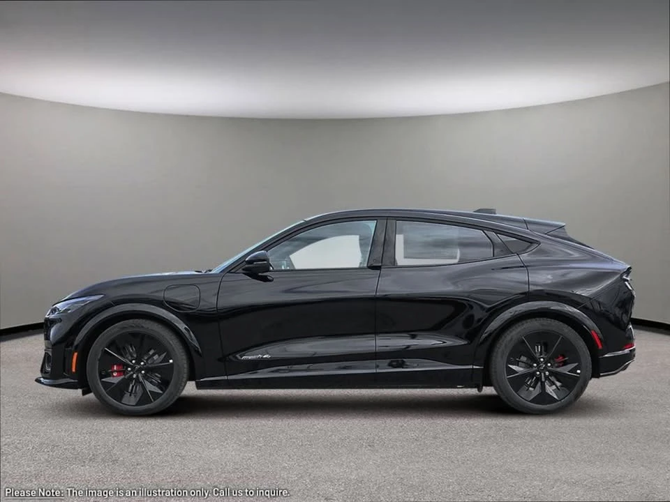 2025 Ford Mustang Mach-E - Image 3 of 20