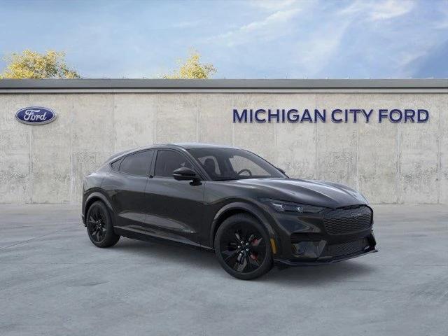 2025 Ford Mustang Mach-E - Image 6 of 20