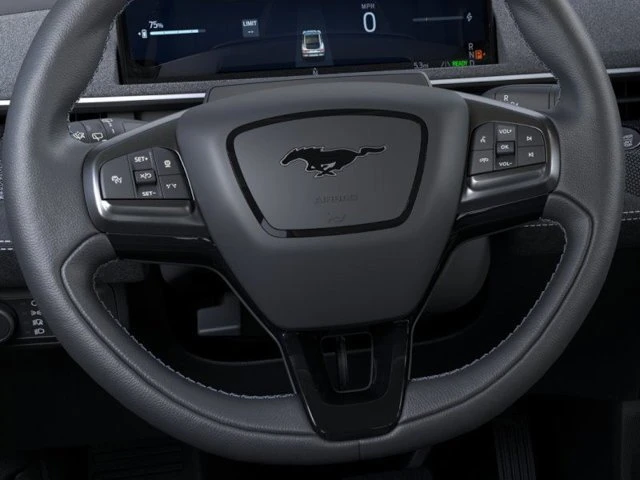 2025 Ford Mustang Mach-E - Image 11 of 20