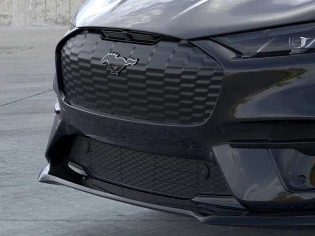 2025 Ford Mustang Mach-E - Image 16 of 20