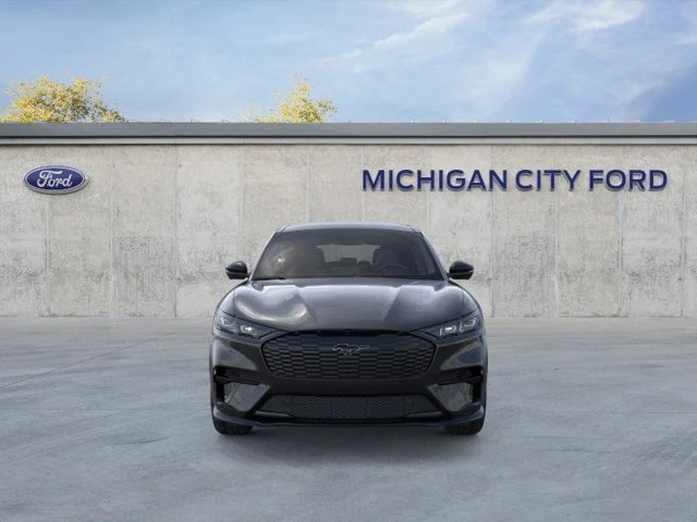 2025 Ford Mustang Mach-E - Image 5 of 20