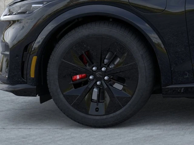 2025 Ford Mustang Mach-E - Image 18 of 20