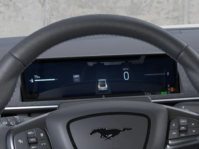 2025 Ford Mustang Mach-E - Image 12 of 20