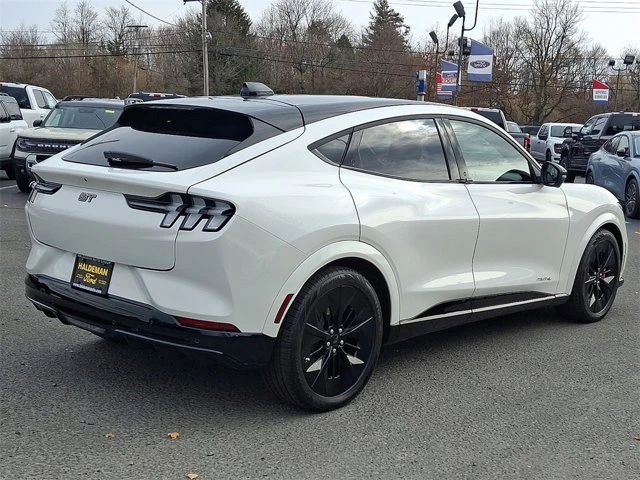 2025 Ford Mustang Mach-E - Image 4 of 14