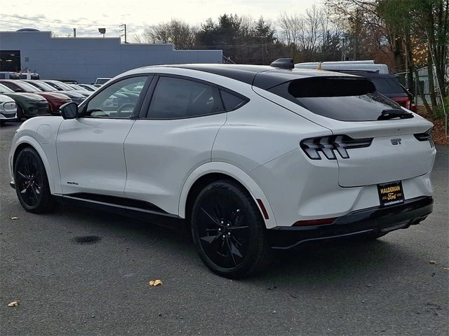 2025 Ford Mustang Mach-E - Image 3 of 14