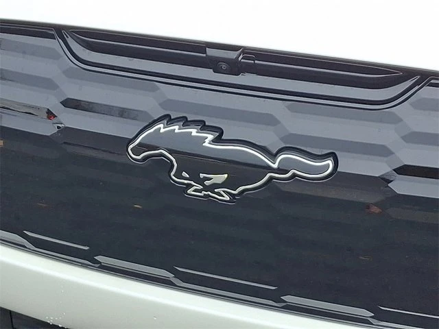 2025 Ford Mustang Mach-E - Image 14 of 14